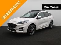 Occasion Ford Kuga ST-Line X 2026 Wit SUV