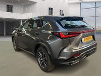 Occasion Lexus NX350h Luxury Line 178 kW (243 PK) 2023