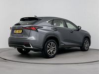 Occasion Lexus NX300h Business Edition 197 PK (144 kW) 2020 Grijs SUV