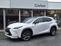 Occasion Lexus NX300h Sport Line 197 PK (144 kW) 2014 Wit SUV