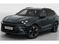Nieuw Cupra Terramar 2025 Fiord blue SUV