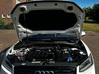 Occasion Audi Q2 Sport 116 PK (85 kW) 2017 Wit SUV