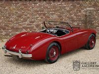 tweedehands Austin Austin-Healey 100 Austin-Healey 100 Roadster PRICE REDUCTION! 100M Specification Matching numbers, Matching colours, Completely restored