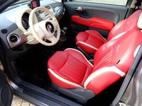 tweedehands Fiat 500 0.9 TwinAir Turbo Cult Pano|Xenon|Leder|Navi|LMV