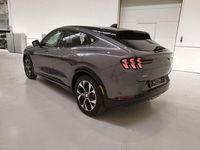 Occasion Ford Mustang 290 PK (213 kW) 2023 Zwart Coupé