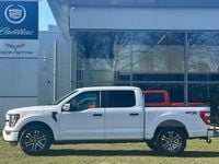 Occasion Ford F-150 STX 329 PK (241 kW) 2023 Wit Pickup