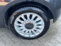 Afbeelding 3
