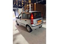 Occasion Fiat Panda 60 PK (44 kW) 2009 Grijs Hatchback