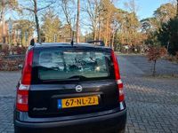 Occasion Fiat Panda 59 PK (43 kW) 2003 Hatchback