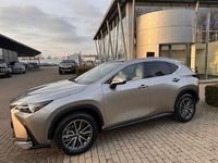 Nieuw Lexus NX450h+ E-FOUR Executive Line 309 PK (227 kW) 2025 Grijs SUV