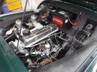 Occasion Triumph TR3 1957 Groen Cabriolet