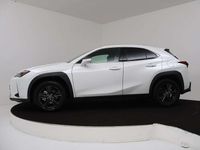 Occasion Lexus UX 250h 184 PK (135 kW) 2024 Wit SUV