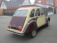 tweedehands Citroën 2CV DOLLY