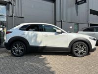 Afbeelding 2