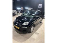 tweedehands Fiat Panda 0.9 TwinAir Edizione Cool