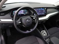 Occasion Skoda Octavia Business Line 150 PK (110 kW) 2025 Grijs Stationwagen