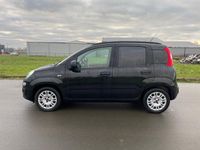 tweedehands Fiat Panda 1.2 bouwjaar 2014 met slechts 86200 km