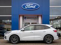Occasion Ford Kuga ST-Line X 2026 Wit SUV