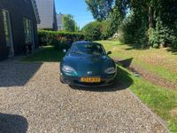 Afbeelding 2