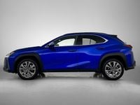 Occasion Lexus UX 250h Executive Line 184 PK (135 kW) 2023 Blauw SUV
