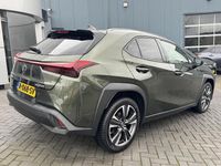 Occasion Lexus UX Business Edition 184 PK (135 kW) 2023 Groen SUV