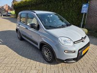 Occasion Fiat Panda City Life 70 PK (51 kW) 2021 Grijs Hatchback
