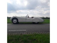 Occasion Jaguar XK 1950 Wit Cabriolet