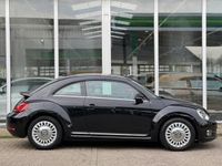 tweedehands VW Beetle 1.4 TSI Sport | Leder | Navigatie | Stoelverwarmin