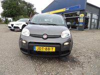 Occasion Fiat Panda City Life 70 PK (51 kW) 2021 Grijs Hatchback