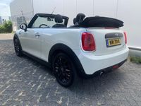Occasion Mini Cooper Cabriolet Business 136 PK (100 kW) 2017 Wit Cabriolet