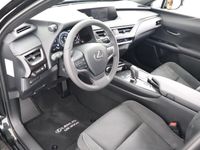 tweedehands Lexus UX 300e Business