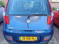 tweedehands Fiat Punto 1.2 Dynamic