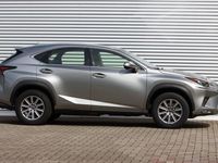 tweedehands Lexus NX300h AWD Business Line AWD Leer / Navi