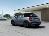 Nieuw Mini Cooper Cabriolet Favoured 163 PK (119 kW) 2025 Grijs Cabriolet