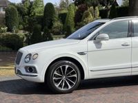 tweedehands Bentley Bentayga 6.0 W12 VOL/PANO/360 NU BESCHIBAAR!