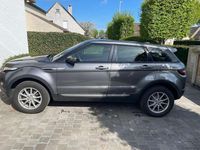 Afbeelding 3