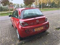 Afbeelding 3