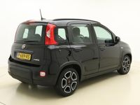 tweedehands Fiat Panda 1.0 Hybrid City Life | Navigatie via Apple carplay | Dakrails | Airco | 5 zitplaatsen | Hoge instap | Fabrieksgarantie
