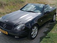 Afbeelding 2