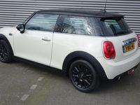 tweedehands Mini Cooper 1.5 First Born Edition Nav Panoramadak