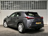 Occasion Lexus UX 250h 184 PK (135 kW) 2020 Grijs SUV