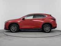 Occasion Lexus NX450h+ Launch Edition 309 PK (227 kW) 2023 Rood SUV