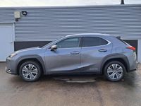 tweedehands Lexus UX 300e Business 54 kWh Nederlandse auto Apple Carplay &