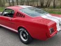 Occasion Ford Mustang Fastback 313 PK (230 kW) 1965 Rood Coupé
