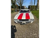 Afbeelding 3