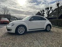 Occasion VW Beetle Trendline 105 PK (77 kW) 2013 Wit Hatchback