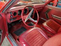 Occasion AMC AMX 1969 Rood