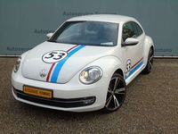 tweedehands VW Beetle 1.2 TSI Herbie Edition 53 - 2012 - 119DKM - Navi -