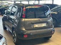 tweedehands Fiat Panda Cross Launch Edition | 1ste Eigenaar | 70 Pk | 21d