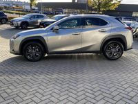 Occasion Lexus UX 184 PK (135 kW) 2023 Grijs SUV